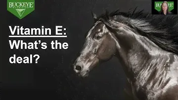 Natural vs Synthetic Vitamin E