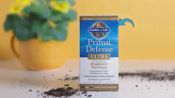 Garden of Life Whole Food Probiotic Supplement Review | Improve Gut Health Naturally
