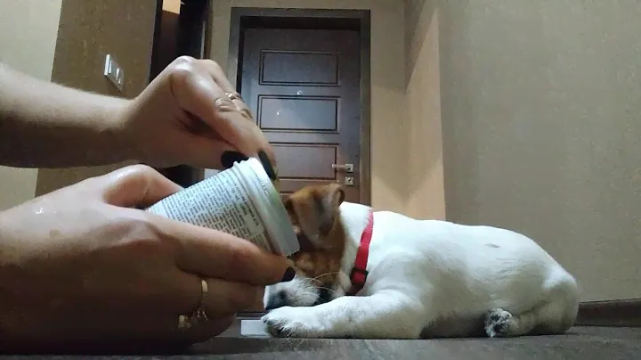 8in1 Excel Multi Vitamin Puppy  Эксель Мультивитамины для щенков