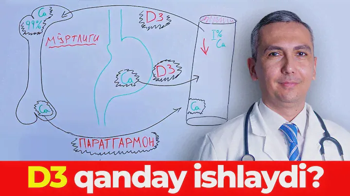 Vitamin D qanday ishlaydi?