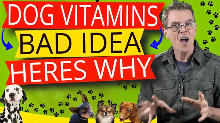 7 Reasons Not to Feed Your Dog Vitamins (Feed This Instead)