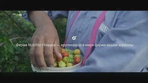 БАД Nutrilite Витамин С плюс от Amway с экстрактом вишни ацеролы